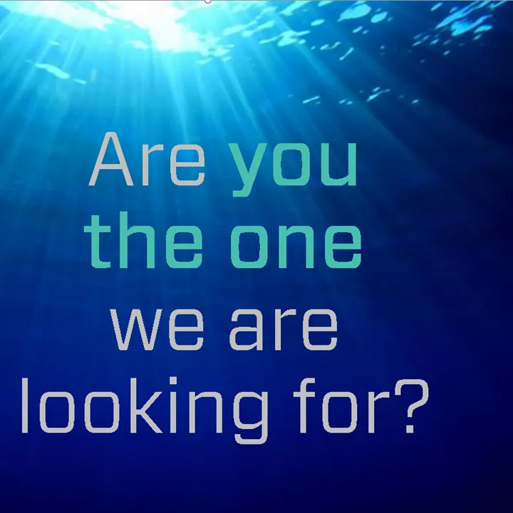 are you the one